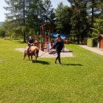 phoca_thumb_m_ponk 98 Fotogalerie